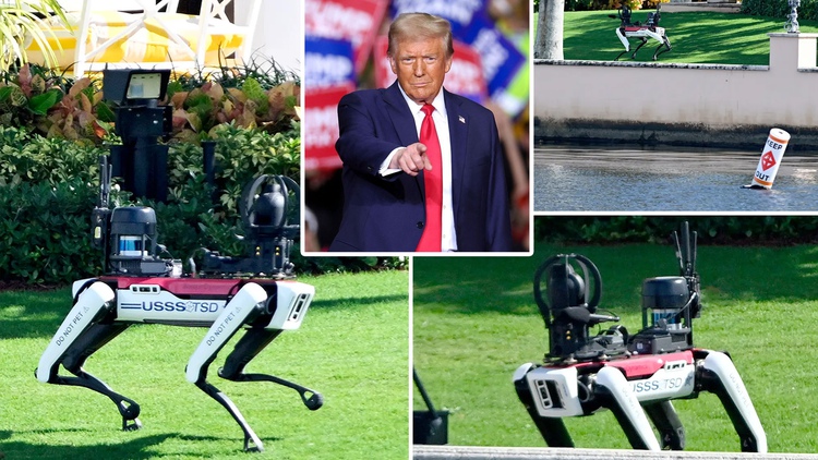 Chó robot bảo vệ Tổng thống đắc cử Trump