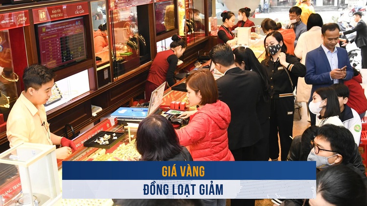 Biến động vàng ngày 11.11: Giá vàng đồng loạt giảm sáng đầu tuần