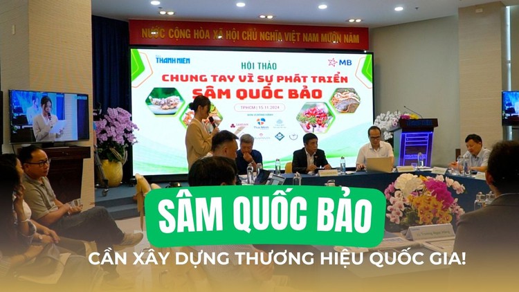 Sâm quốc bảo Việt Nam: Cần xây dựng thương hiệu quốc gia!