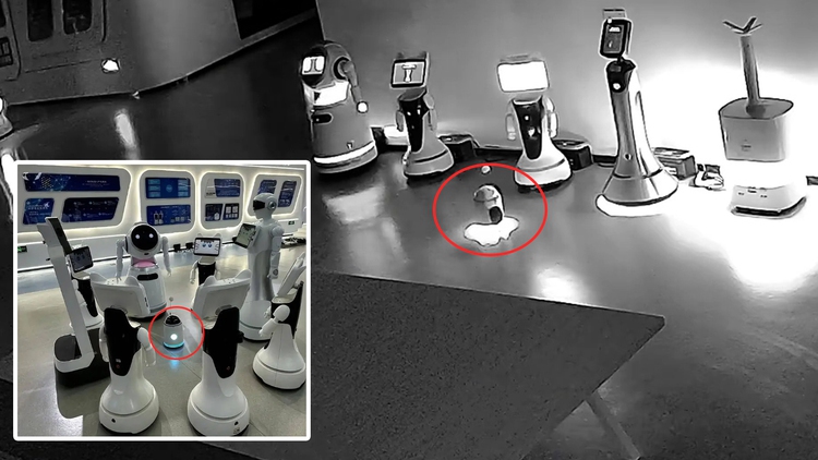 Vụ robot 'dụ dỗ' 12 robot khác bỏ việc 'về nhà': Tiết lộ bất ngờ