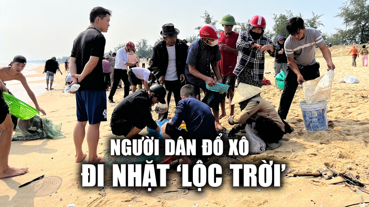 Người dân đổ xô đi nhặt ‘ lộc trời’ sau bão số 6