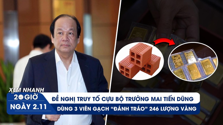 Xem nhanh 20h: Đề nghị truy tố cựu Bộ trưởng Mai Tiến Dũng | Ly kỳ dùng gạch đánh tráo 246 lượng vàng