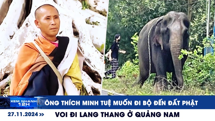 Xem nhanh 12h: Ông Thích Minh Tuệ muốn đi bộ đến đất Phật | Voi lang thang ven quốc lộ ở Quảng Nam