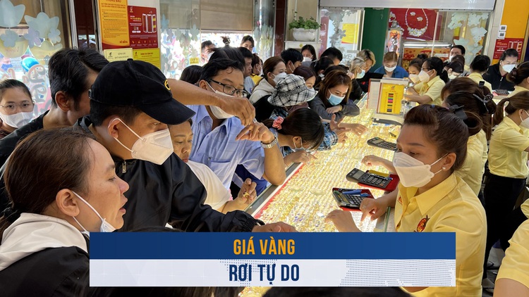 Biến động vàng ngày 8.11: Giá vàng rơi tự do