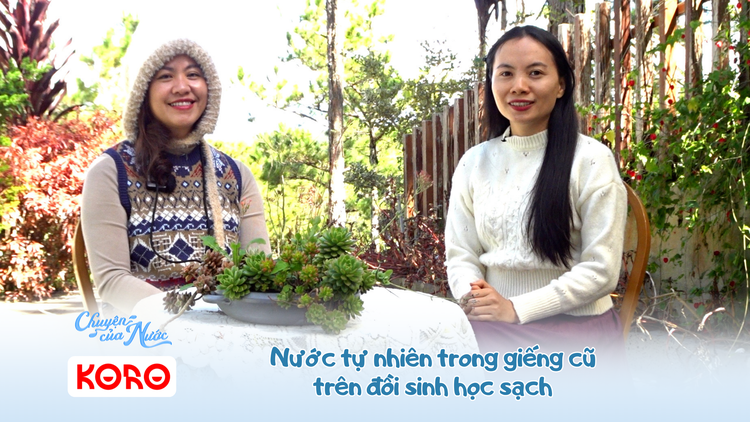 Chuyện của nước số 31: Nước tự nhiên trong giếng cũ trên đồi sinh học sạch