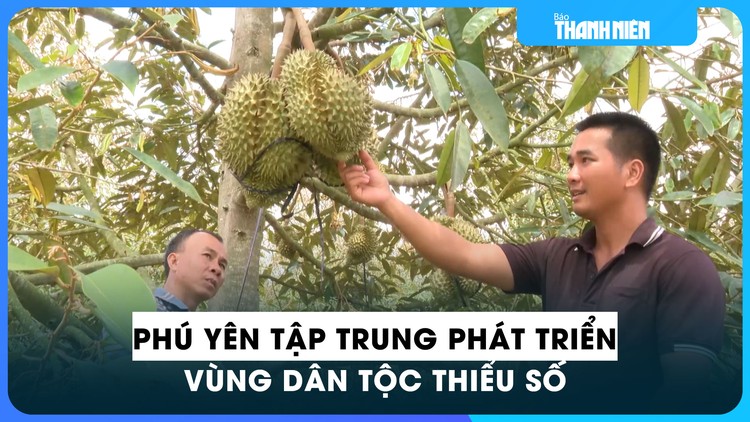 Phú Yên tập trung phát triển kinh tế - xã hội vùng đồng bào dân tộc thiểu số