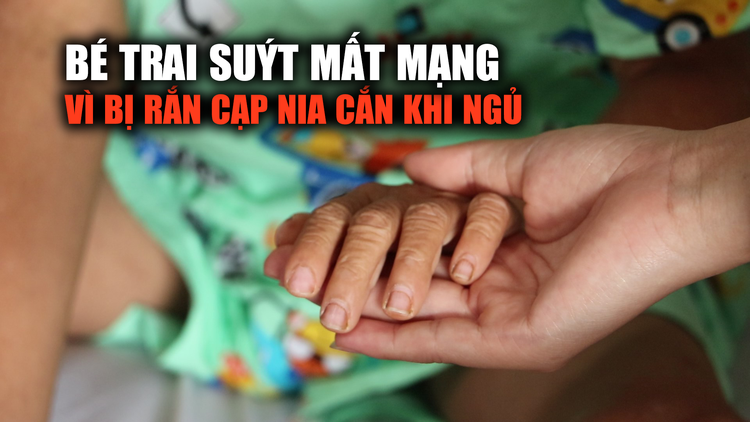 Bé 6 tuổi suýt mất mạng vì bị rắn cạp nia cắn khi ngủ