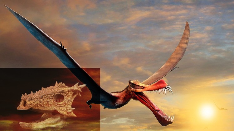 cá độ bóng đá - Những hóa thạch nào được mang tên 'Rồng'?
