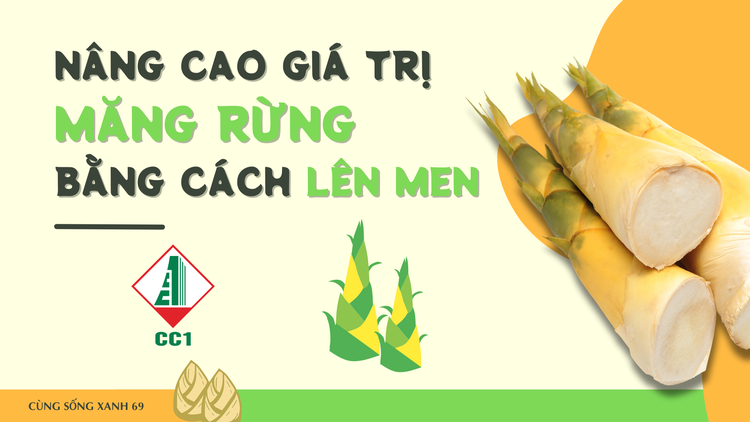 Cùng sống xanh số 69: Người phụ nữ lên men măng rừng, lan tỏa sản phẩm của người Xê Đăng