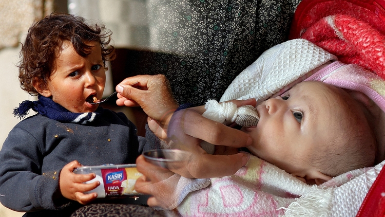 Gaza đói: Thức ăn nuôi chim, hạt chà là trở thành thức ăn cho trẻ em