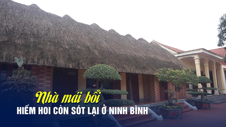 Chiêm ngưỡng ngôi nhà mái bổi tuyệt đẹp hiếm hoi còn sót lại ở Ninh Bình