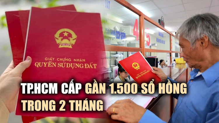 TP.HCM cấp gần 1.500 sổ hồng trong 2 tháng đầu năm 2024