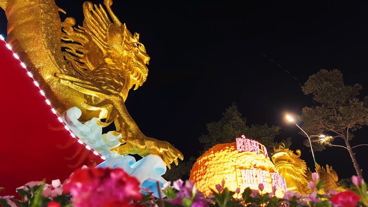 Cặp đôi rồng vàng ấn tượng ở Bình Phước: Người dân khen ‘đẹp hơn trên mạng’