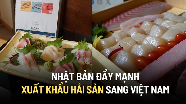 Nhật Bản đẩy mạnh xuất khẩu hải sản, đặc biệt là sò điệp sang Việt Nam