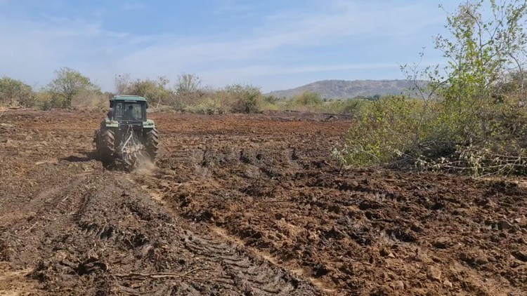 Doanh nghiệp khắc phục sự cố đổ vỏ nha đam ra môi trường