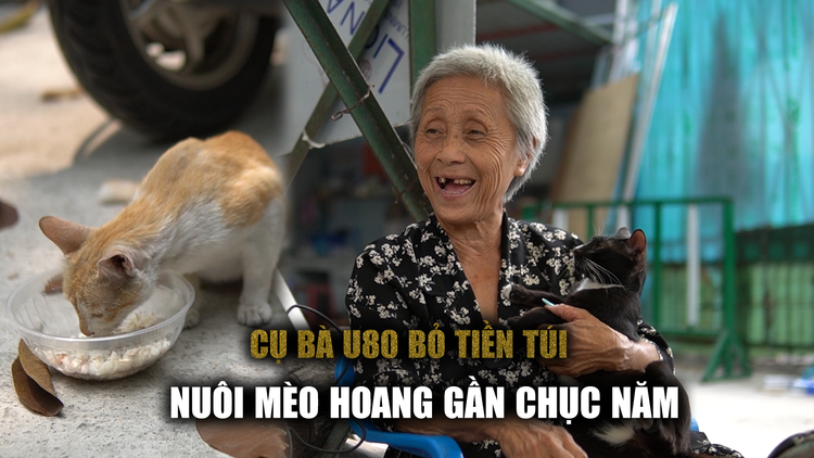 Sài Gòn thân thương: Cụ bà bán đồ chơi lấy tiền nuôi mèo hoang suốt 10 năm