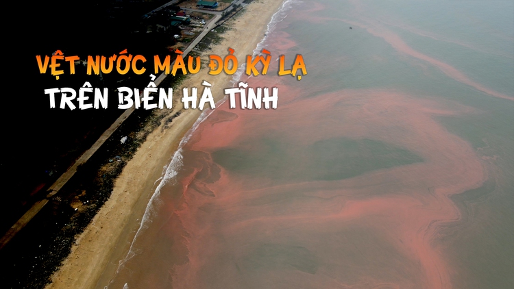 Xuất hiện các vệt nước màu đỏ kỳ lạ trên biển Hà Tĩnh