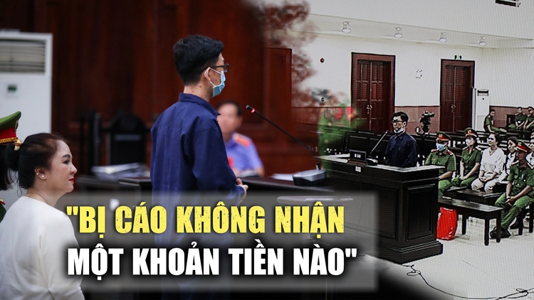 Vụ án Nguyễn Phương Hằng: Tiến sĩ luật giúp đỡ vô tư hay vì lợi ích vật chất?