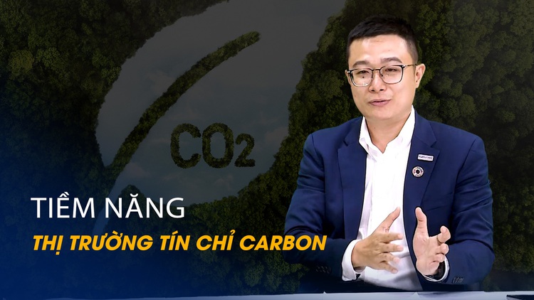 Vấn đề và Giải pháp: Tiềm năng của thị trường tín chỉ carbon ở Việt Nam