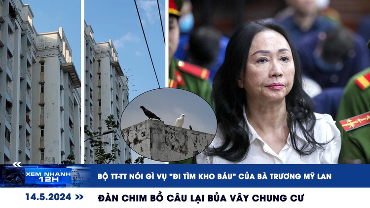 Xem nhanh 12h: Bộ TT-TT nói gì vụ 'đi tìm kho báu' của Trương Mỹ Lan | Đàn chim bồ câu lại bủa vây chung cư