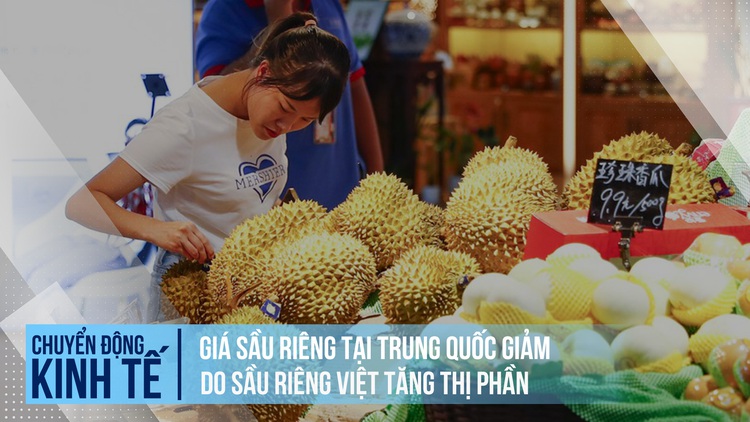 Giá sầu riêng tại Trung Quốc giảm do sầu riêng Việt tăng thị phần