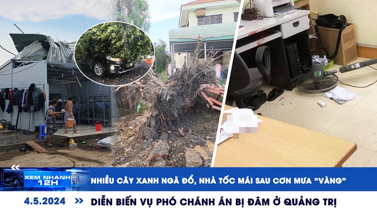 Xem nhanh 12h: Nhiều cây xanh ngã đổ, nhà tốc mái sau cơn mưa ‘vàng' | Diễn biến vụ phó chánh án bị đâm ở Quảng Trị