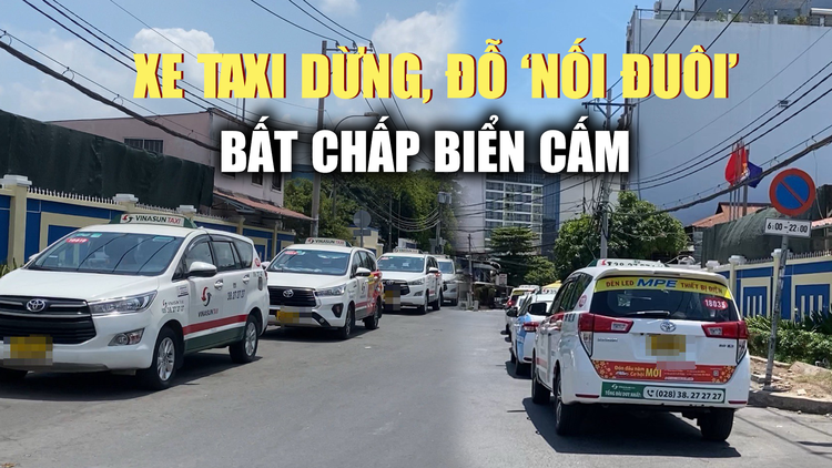 Taxi dừng đỗ tràn lan bất chấp biển cấm: Tài xế than ‘nằm chờ tới lượt’ vào sân bay