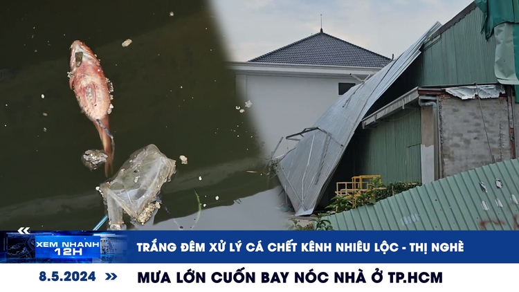 Xem nhanh 12h: Trắng đêm xử lý cá chết kênh Nhiêu Lộc - Thị Nghè | Mưa lớn cuốn bay nóc nhà ở TP.HCM