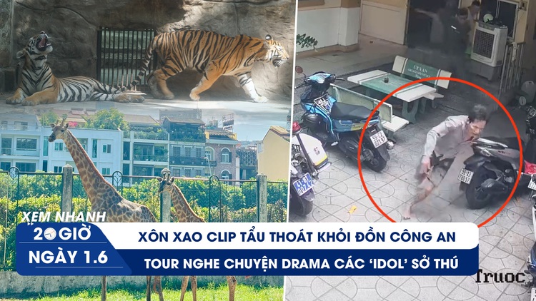 Xem nhanh 20h ngày 1.6: Mở tour nghe 'drama idol' ở Thảo Cầm Viên | Xóa mê trận số nhà siêu xuyệt