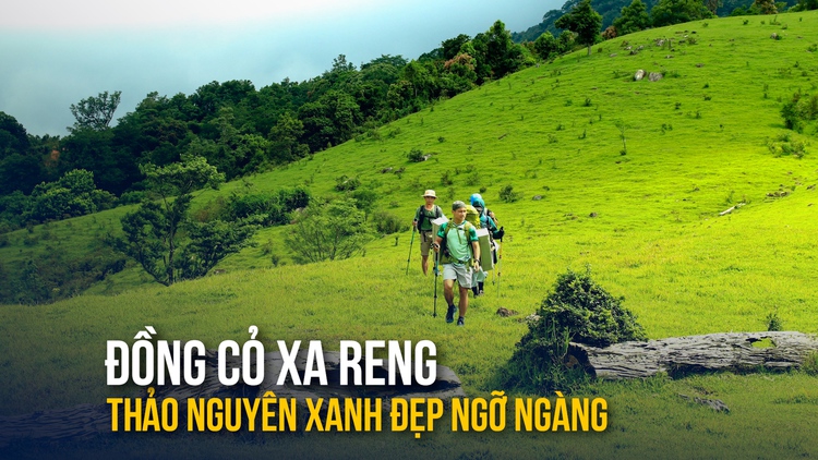 Xiêu lòng đồi cỏ Xa Reng đẹp như phim: Mê trekking, cắm trại không thể bỏ lỡ