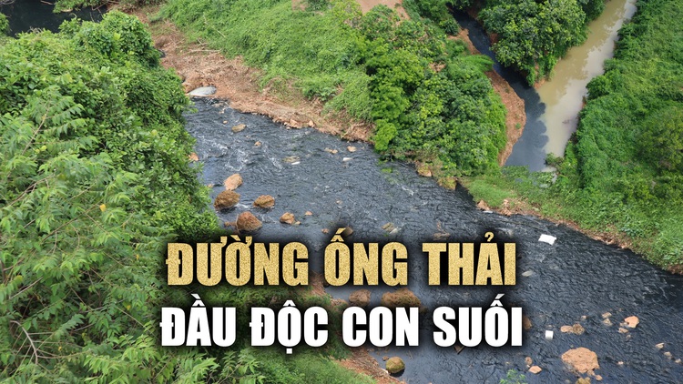 Xác định nguyên nhân vụ dòng suối hóa suối ‘than’ đen kịt ở Bình Phước