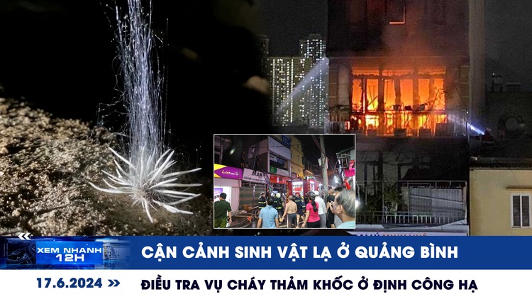 Xem nhanh 12h: Điều tra vụ cháy thảm khốc ở Định Công Hạ | Cận cảnh sinh vật lạ ở Quảng Bình