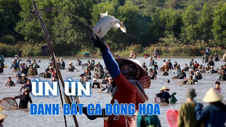 Hàng ngàn người dân ùn ùn tham gia lễ hội đánh bắt cá Đồng Hoa