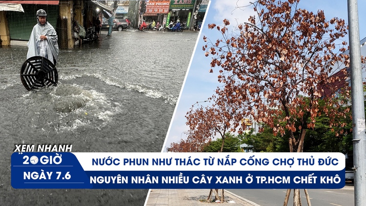 Xem nhanh 20h ngày 7.6: Chợ Thủ Đức lại thành 'rốn ngập' | Vì sao nhiều cây xanh ở TP.HCM chết khô?