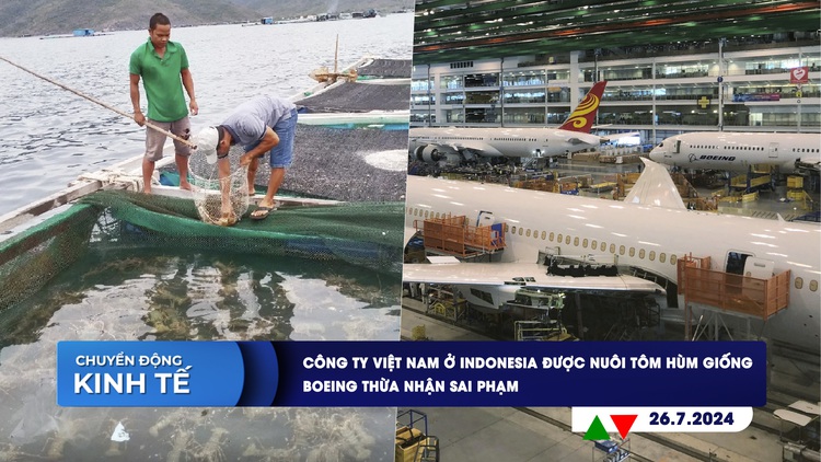 CHUYỂN ĐỘNG KINH TẾ ngày 26.7: Công ty Việt Nam ở Indonesia được nuôi tôm hùm giống | Boeing thừa nhận sai phạm