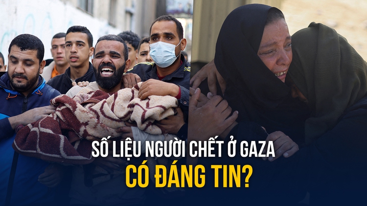 Thương vong quá cao ở Gaza: Số liệu có đáng tin cậy?