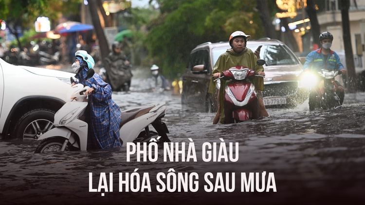 ‘Phố nhà giàu' Thảo Điền lại hóa sông sau mưa lớn, dân khổ sở lội nước đẩy xe
