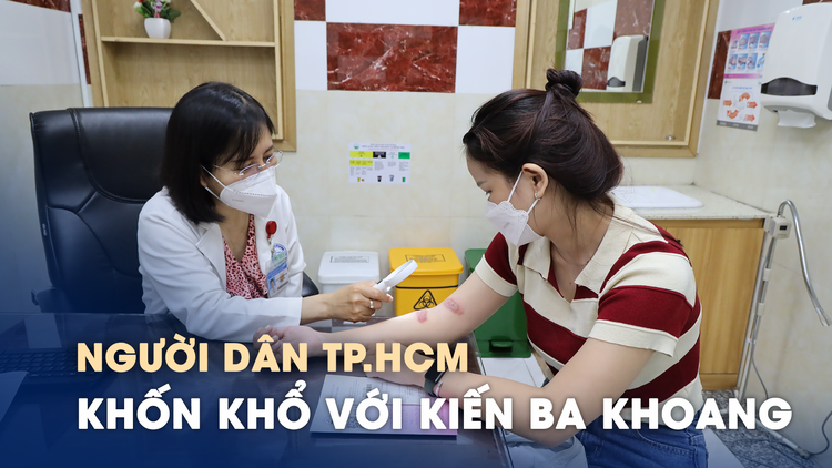 Người dân TP.HCM lại đau đầu với kiến ba khoang