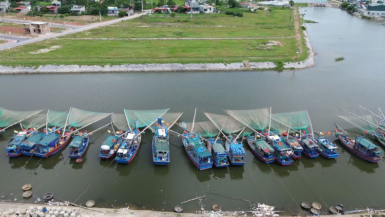 Thanh Hóa: Dẹp khu nuôi vẹm trái phép, trả lại nơi neo đậu tàu thuyền