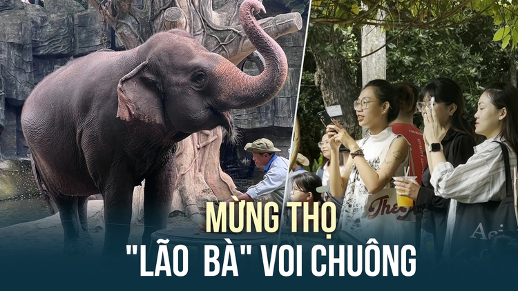 Mừng thọ 'lão bà' voi Chuông ở Thảo Cầm Viên Sài Gòn