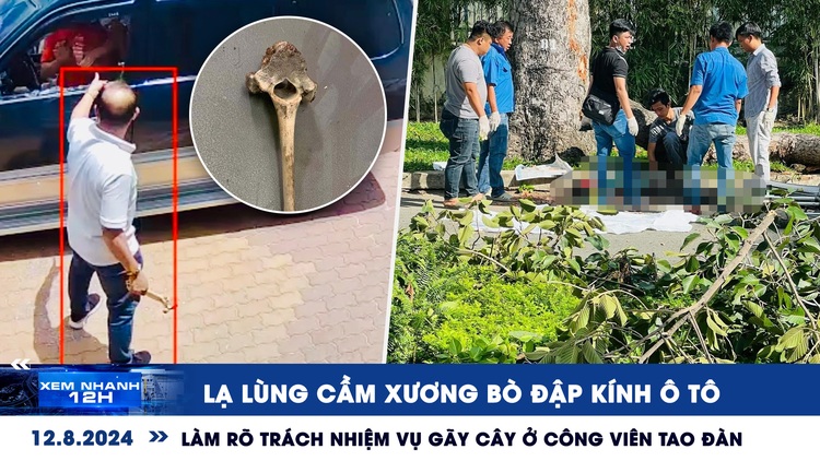 Xem nhanh 12h: Lạ lùng cầm xương bò đập kính ô tô | Làm rõ trách nhiệm vụ gãy cây ở công viên Tao Đàn