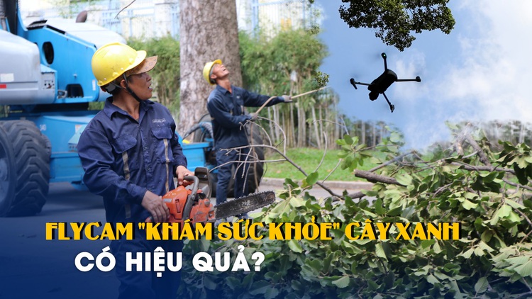 Dùng flycam 'khám sức khỏe' cây xanh ở TP.HCM: Chuyên gia nói gì?