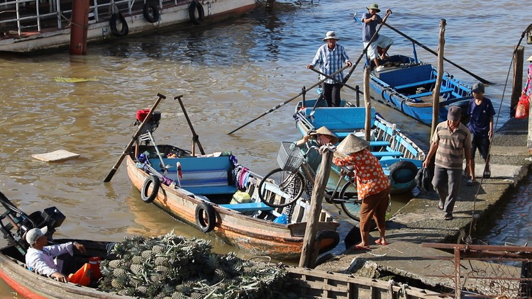 Cần Thơ: Bến phà ngừng hoạt động, dân đành bưng cả xe xuống đò