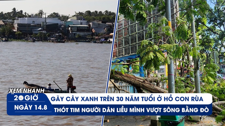 Xem nhanh 20h ngày 14.8: Lại gãy cây xanh ở TP.HCM | Vì sao người dân liều mình vượt sông bằng đò?