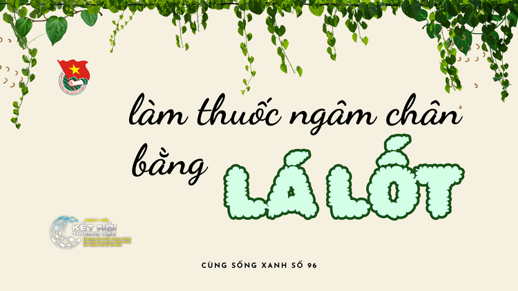 Cùng sống xanh số 96: Mắc chứng lạnh người, phát hiện công dụng đặc biệt của lá lốt