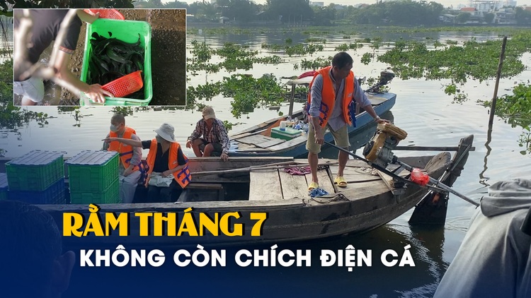 Chích điện cá đã thôi hoành hành dịp rằm tháng 7 trước chùa Diệu Pháp