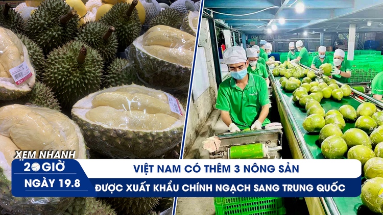 Xem nhanh 20h ngày 19.8: Ngày vui nông sản Việt Nam - sầu riêng đông lạnh được cấp phép vào Trung Quốc