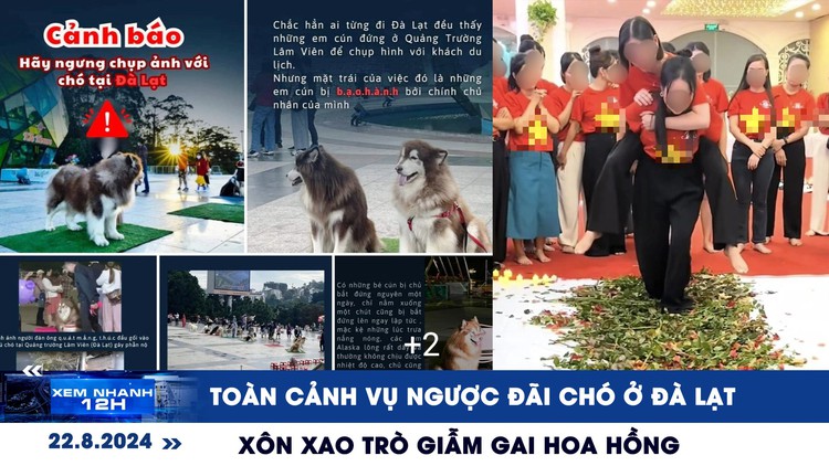 Xem nhanh 12h: Toàn cảnh vụ ngược đãi chó ở Đà Lạt | Xôn xao trò giẫm gai hoa hồng