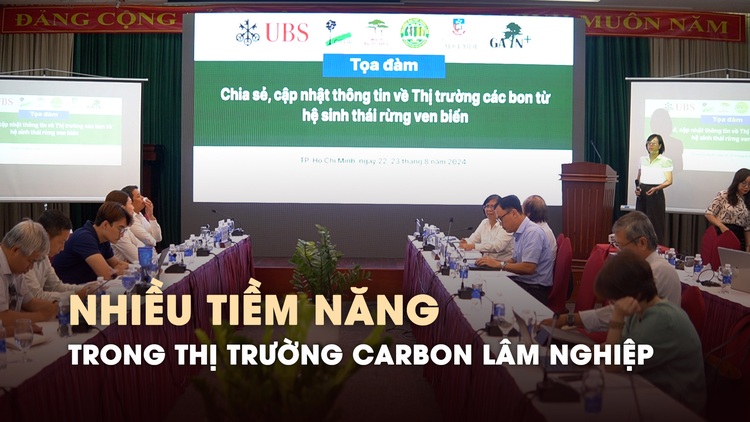 Nhiều tiềm năng trong thị trường carbon lâm nghiệp