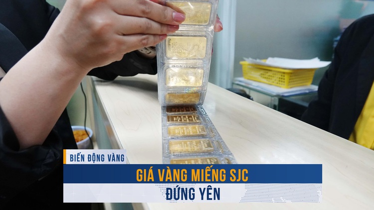 Biến động vàng ngày 23.8: Giá vàng miếng SJC đứng yên